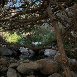 Meet your Posher, Madeline